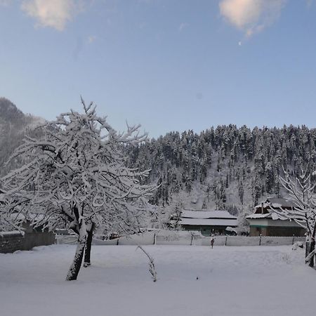 West End Lodges Neelum Eksteriør bilde